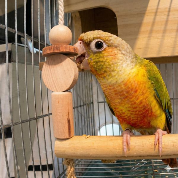 W547 小鸚鵡鞦韆 鳥用鞦韆、多功能玩具、咬物設計、健康娛樂、3mm麻繩、籠內外使用、耐用性、安全性、鳥類玩具、鳥寶娛樂、健康成長。