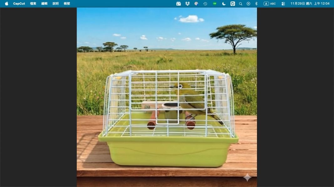 Z097寵物鳥大開口外出帶籠｜便攜外出籠 綠繡眼外出籠
綠繡眼專用站棍
鸚鵡雙用飲水器
迷你鳥外出籠
小型鳥攜帶籠適合綠繡眼的小型外出籠
結合飲水與站棍的鳥籠配件
綠繡眼外出專用站棍推薦
外出鳥籠附飲食功能
攜帶方便的迷你鳥籠推薦鸚鵡 外出籠

鳥 外出籠

便攜 鳥籠

寵物鳥 提籠

鳥 運輸籠

中小型 鸚鵡 外出籠