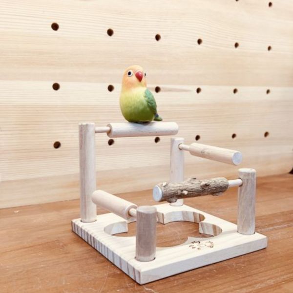 MY PET BIRD 子母變形站架｜方向靈活調整塑造多樣風格 小鸚鵡國民站架
輕便可攜性站架
不同尺寸站棍
12mm、14mm、16mm尺寸選擇
小鸚鵡站架
輕量站台
便攜式站具
鳥類站架選擇
寵物站架
小鸚鵡用具