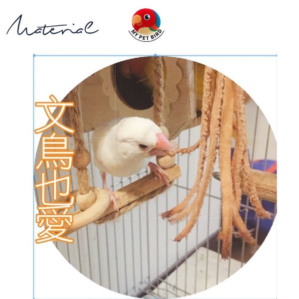 W006 鸚鵡啃咬玩具 鸚鵡咬物
牛皮鸚鵡咬物
寵物咬具
寵物玩具
鸚鵡玩具
寵物口咬玩具
咀嚼訓練玩具
原色牛皮咬物
寵物娛樂用品
鸚鵡口咬訓練工具