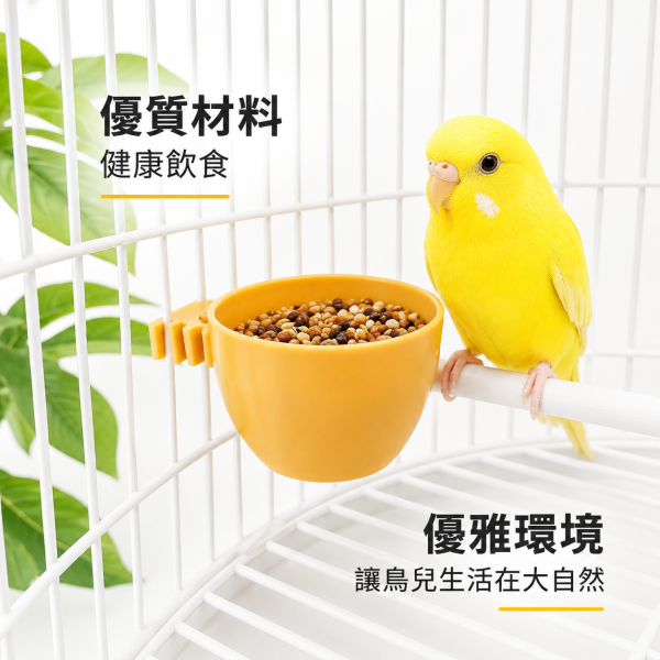Z082 基本款鳥用飼料盒 / 飼料餵食盒 鳥用飼料盒
基本款飼料盒
鳥類食物盒
簡易飼料盒
鳥籠飼料盒
寵物鳥飼料容器
鳥類飲食器
鳥類自動餵食器
無需安裝的飼料盒
經濟實惠的鳥用飼料盒