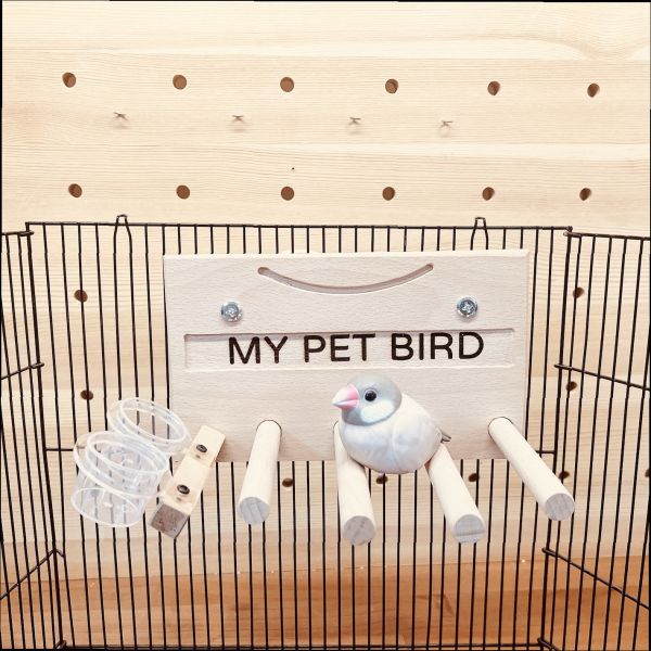 MY PET BIRD   無障礙的愛心呵護 文鳥小鸚鵡款 鳥類用品
殘疾鳥站架
鳥友用品
活動食盒
鳥類飼料器
鳥寶站立器
專業鳥類配件
人性化鳥類用品
穩固支撐站架
無障礙鳥類用品
鳥類健康產品
鳥類飲水器
鳥類玩具
輕鬆移動鳥站架
鳥類訓練用品