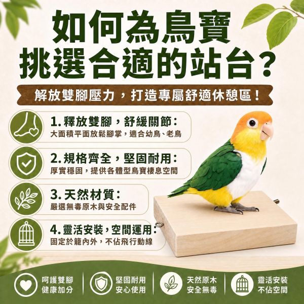 W710 天然木質鳥用休息棲木台・多款尺寸台灣製造 鸚鵡站台, 鳥用休息台, 寵物鳥站架, 松木站台, 鸚鵡用品推薦, 鳥籠配件, MY PET BIRD