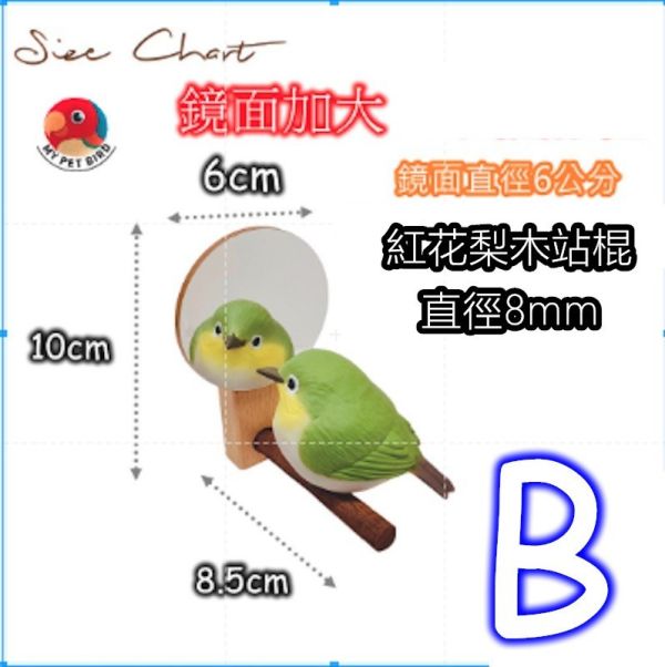 MY PET BIRD 綠繡眼迷你鏡 高清鳥類觀察鏡子,反射式鏡面