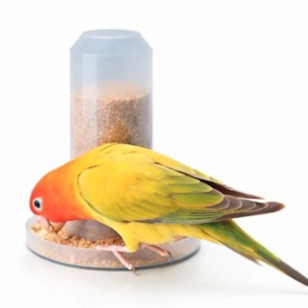 z026 多功能大容量自動餵食器 自動餵食器
大容量餵食器
長時間餵食解決方案
飼料供應器
餵食器多功能
PVC材質餵食器
殘障鳥飼養工具
餵食器安裝指南
養鳥設備
養寵物鳥的必備用品