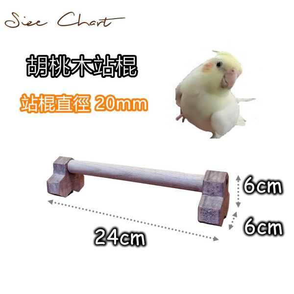 MY PET BIRD 耶誕樹造型站架 鹦鹉站架
鹦鹉架
鹦鹉用品
鳥類用品
鳥類玩具
鳥類站架
寵物用品
竉物玩具
寵物訓練用品
鸚鵡訓練用品