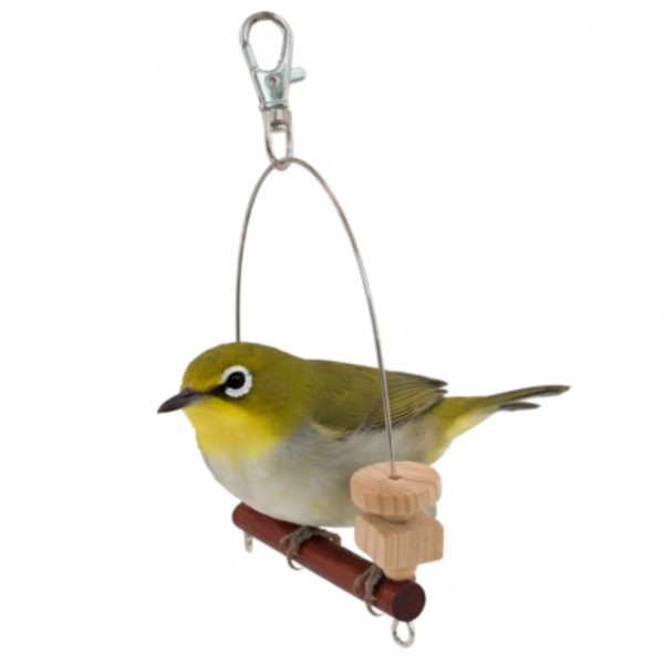 W519 綠繡眼專用迷你鞦韆 不鏽鋼支撐 紅花梨木 原創設計 文鳥咬串 鸚鵡玩具綠繡眼、迷你鞦韆、不銹鋼支撐、時尚設計、咬物選擇、寵物鳥娛樂