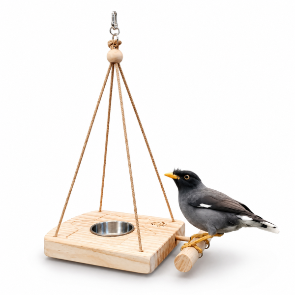 W432 戶外餵鳥器/開放式木屋 野鳥餵食器 飼料盒 鳥用品