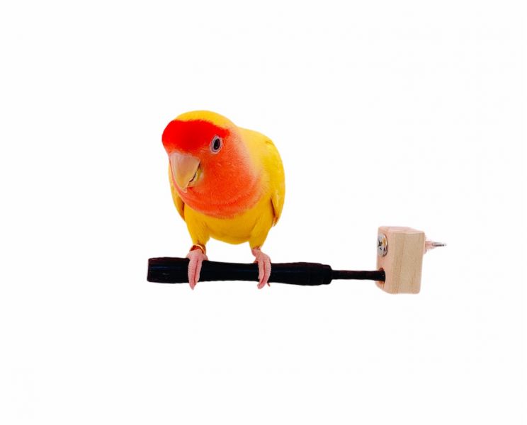 MY PET BIRD 特製曲線型紫光檀站棍 鳥類站立架
寵物站立訓練器材
鸚鵡活動訓練棒
可調節高度鳥類站立器材
天然木鳥類站立架
無毒寵物訓練玩具
多功能鸚鵡訓練用品
適合鸚鵡站立練習的玩具