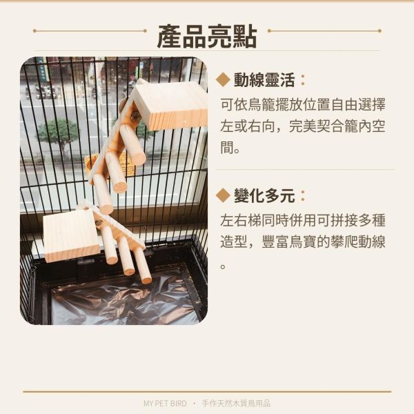 W718 提升鳥籠體驗！創意無限的雙向梯產品 鳥用梯子
小型鳥用梯子
鳥類攀爬梯
鳥籠玩具
天然竹製鳥用梯子
鳥類運動訓練用品
安全可靠鳥用梯子
易於安裝的鳥用梯子
適用於不同大小的鳥籠
高品質鳥用梯子
