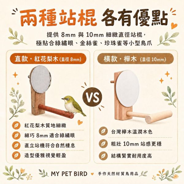 ｗ829A 綠繡眼迷你鏡｜小型鳥安全壓克力鳥用鏡子 綠繡眼迷你鏡, 鳥用鏡子, 小型鳥鏡子, 綠繡眼玩具, 鳥類心理刺激, 鳥籠鏡子, 壓克力鳥鏡, MY PET BIRD