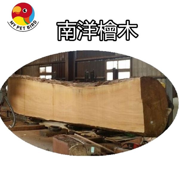 MY PET BIRD 南洋檜木站台 鹦鹉站架
鹦鹉架
鹦鹉用品
鳥類用品
鳥類玩具
鳥類站架
寵物用品
竉物玩具
寵物訓練用品
鸚鵡訓練用品