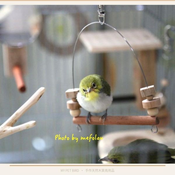 W519 綠繡眼專用迷你鞦韆 不鏽鋼支撐 紅花梨木 原創設計 文鳥咬串 鸚鵡玩具綠繡眼、迷你鞦韆、不銹鋼支撐、時尚設計、咬物選擇、寵物鳥娛樂