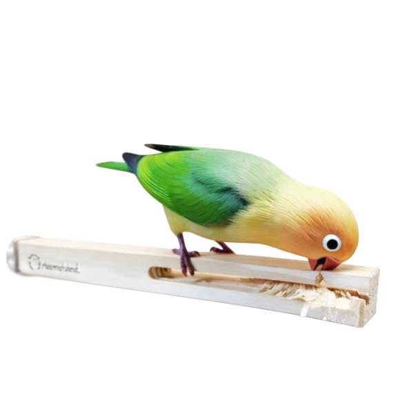 MY PET BIRD 鸚鵡專用快樂啃柱/盡情啃咬的最佳選擇 文鳥 小鸚 牡丹 白頭翁 麻雀 虎皮 太平洋 玄鳳 小太陽 金太陽 和尚 
鸚鵡玩具 寵物文創 鳥玩具