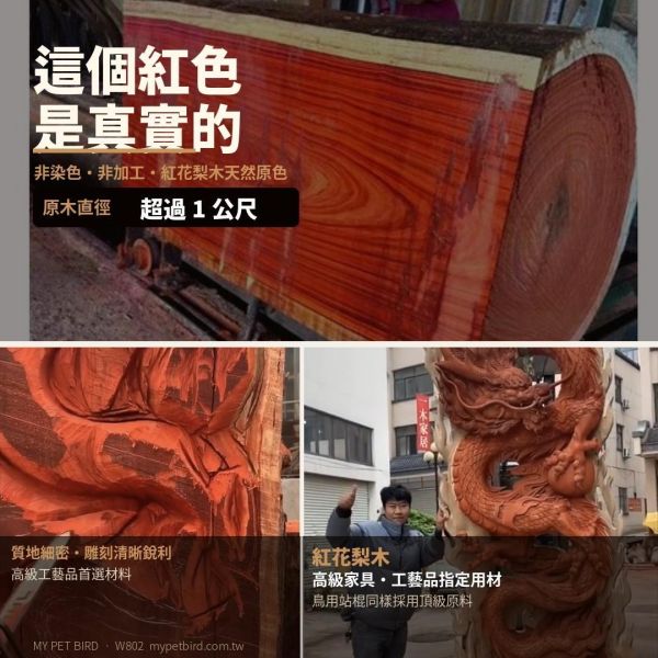 MY PET BIRD 紅花梨木站棍 鸚鵡站棍
鳥類站立架
寵物站立訓練器材
鸚鵡活動訓練棒
可調節高度鳥類站立器材
天然木鳥類站立架
無毒寵物訓練玩具
多功能鸚鵡訓練用品
適合鸚鵡站立練習的玩具