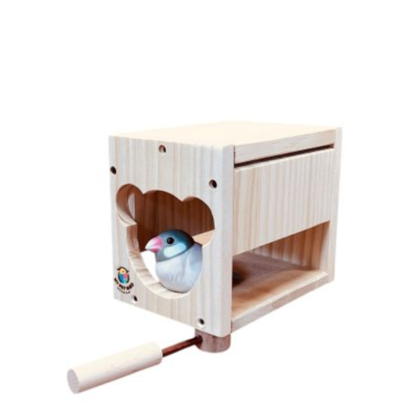 W474 小熊造型 / 鸚鵡小木屋 鳥用木窩
鳥居住用品
鳥類寄宿舍
天然木質鳥窩
鳥類棲息場所
無毒環保鳥窩
適合鳥類棲息的木製窩
室內外鳥類居住用品
手工製作鳥窩
鳥類庇護所