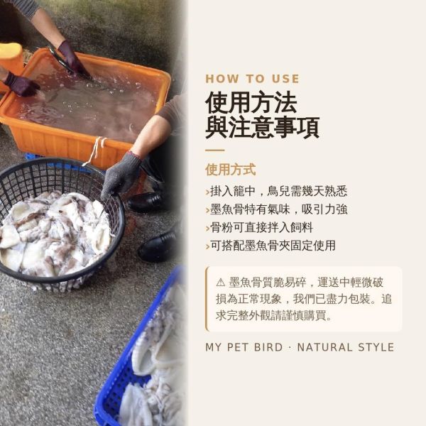 MY PET BIRD 澎湖產地墨魚骨粉 補鈣墨魚骨
鈣質補充
健康骨骼
強化骨骼
營養豐富
天然食材
高鈣來源
墨魚骨營養
骨骼健康