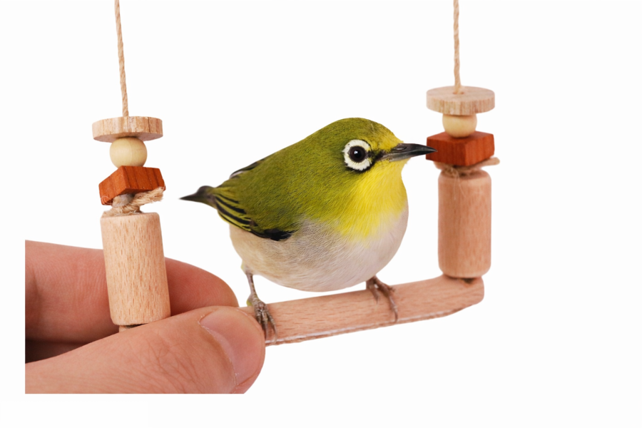 MY PET BIRD  小綠迷你鞦韆 綠繡眼迷你鞦韆
迷你鞦韆
量身訂作鞦韆
1.5mm超細麻繩鞦韆
8mm櫸木站棍鞦韆
鳥舍鞦韆
家居鳥鞦韆
舒適安全鞦韆
鳥玩具
自然裝飾品