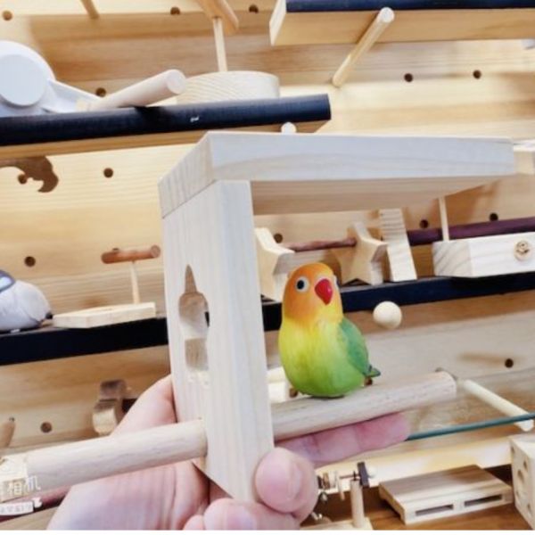 MY PET BIRD  小鸚鵡站台組 鸚鵡站台
鸚鵡活動台
鳥類休息台
寵物休息訓練架
可調節高度鳥類休息台
天然木鳥類站立架
無毒寵物訓練玩具
多功能鸚鵡訓練用品
適合鸚鵡休息和站立練習的玩具