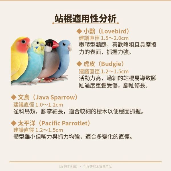 199免運 鸚鵡站台
鸚鵡活動台
鳥類休息台
寵物休息訓練架
可調節高度鳥類休息台
天然木鳥類站立架
無毒寵物訓練玩具
多功能鸚鵡訓練用品
適合鸚鵡休息和站立練習的玩具