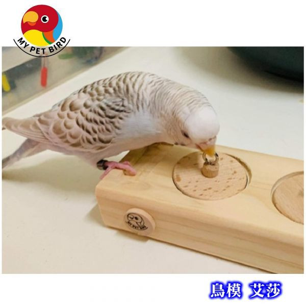 MY PET BIRD  覓食樂趣性益智玩具 天然原木互動玩具
鸚鵡訓練益智玩具
鸚鵡互動方式
建立親密關係鸚鵡
促進身心健康鳥玩具
鸚鵡互動玩具選擇
互動式鸚鵡玩具
提供挑戰性鳥玩具
鸚鵡身心健康訓練
正向強化鸚鵡訓練方法