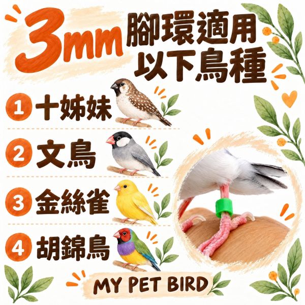 Z067 飛失識別文鳥腳環｜防走失號碼腳環・文鳥麻雀適用 文鳥腳環, 飛失識別腳環, 防走失鳥腳環, 號碼辨識腳環, 麻雀腳環, 鳥用身份標籤, 鳥用安全腳環, MY PET BIRD