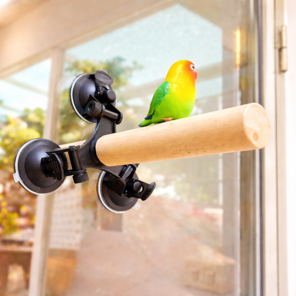 W803E 大型鸚鵡吸盤站棍 吸盤式鳥站棍
鳥類活動站棍
吸盤式鳥類觀察器材
室內鳥類站棍
室外鳥類站棍
適用於鳥類的吸盤站棍