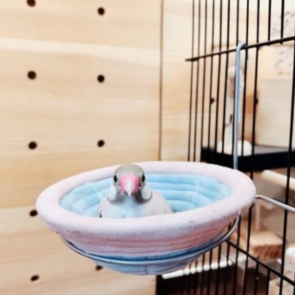 W4A3  雀鳥鳥巢／ 懸掛式鳥窩 鳥類寵物懸掛窩
吊掛式鳥巢
寵物鳥掛墊窩
懸掛式鳥類睡窩
布質吊掛鳥窩
寵物鳥用懸掛巢穴
鳥類布質掛墊窩
懸掛式寵物鳥休憩窩
寵物鳥的吊掛睡巢
鳥類懸掛式棲息窩