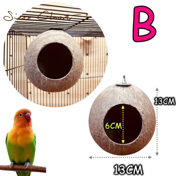 W403 台灣現貨/椰殼窩 椰殼鸚鵡木窩
小鸚鵡舒適窩巢
天然椰殼鸚鵡窩
耐用木質鸚鵡窩
易清洗鸚鵡木窩
鸚鵡舒適休憩空間
環保椰殼鸚鵡窩
手工製作鸚鵡木窩
自然材質鸚鵡窩
安全可靠的鸚鵡住所