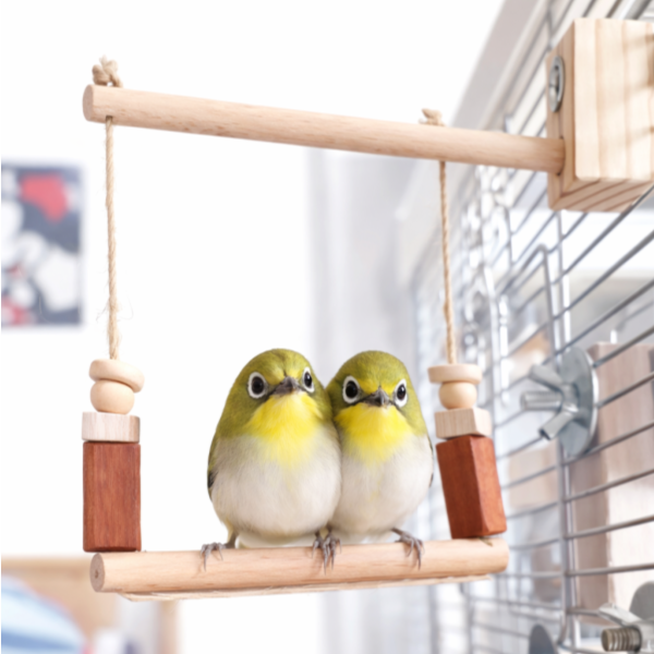 MY PET BIRD  小綠迷你鞦韆 綠繡眼迷你鞦韆
迷你鞦韆
量身訂作鞦韆
1.5mm超細麻繩鞦韆
8mm櫸木站棍鞦韆
鳥舍鞦韆
家居鳥鞦韆
舒適安全鞦韆
鳥玩具
自然裝飾品