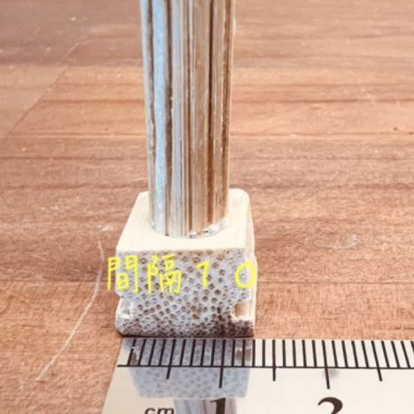 W867 綠繡眼專用睡桿｜迷你站棍 寵物文創,鳥玩具,鸚鵡玩具,文鳥,玄鳳,和尚,虎皮,綠繡眼,凱克,寵物用品,寵物玩具,咬物