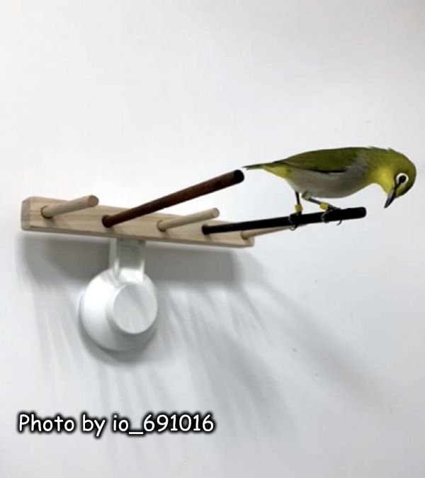 w739 綠繡眼吸盤式｜組合跳架 綠繡眼站台 bird perch stand
綠繡眼站架 Bird stand
綠繡眼站棍　Bird Perch
綠繡眼遊樂場 Bird Playground
綠繡眼鳥玩具 Parrot toys
綠繡眼鳥用品 bird products
綠繡眼攀爬繩 Climbing rope
綠繡眼梯子 ladder