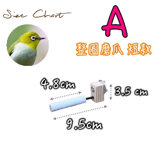 MY PET BIRD 半面/整圈磨爪綠繡眼專用 鳥用磨爪站棍
鳥類爪磨石
鳥類磨爪玩具
鳥用爪磨設備
鳥類爪磨訓練工具
鳥類磨爪棒
鳥類爪磨架
鳥爪保健產品
鳥類磨爪支架
鳥類爪磨棒