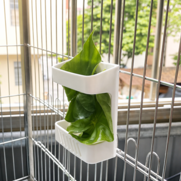 Z073B  鸚鵡蔬果籃/多功能寵物食盒 鳥類果蔬籃
鳥兒食物供應籃
鳥類水果蔬菜器皿
新鮮食物籃子
鳥類營養補充器
鳥用食物盛放器
天然鳥類飲食工具
健康鳥類食物籃
方便鳥類飲食器具
鳥類食物分配容器