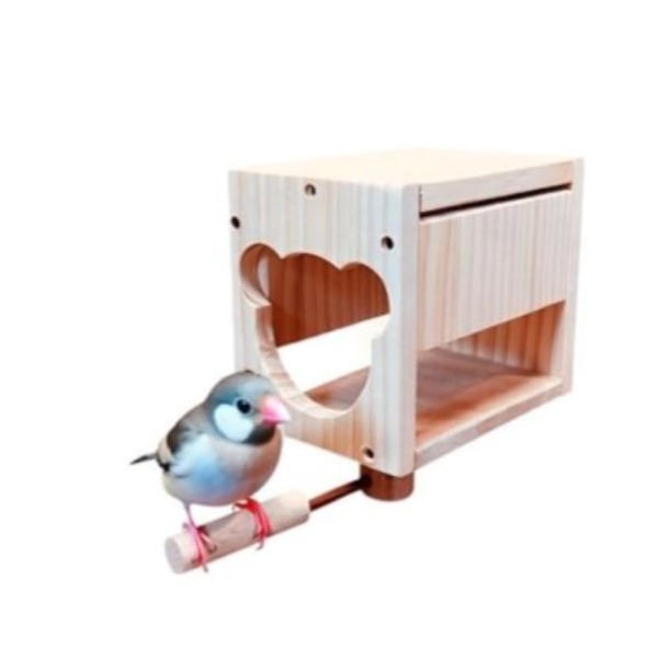 W474 小熊造型 / 鸚鵡小木屋 鳥用木窩
鳥居住用品
鳥類寄宿舍
天然木質鳥窩
鳥類棲息場所
無毒環保鳥窩
適合鳥類棲息的木製窩
室內外鳥類居住用品
手工製作鳥窩
鳥類庇護所