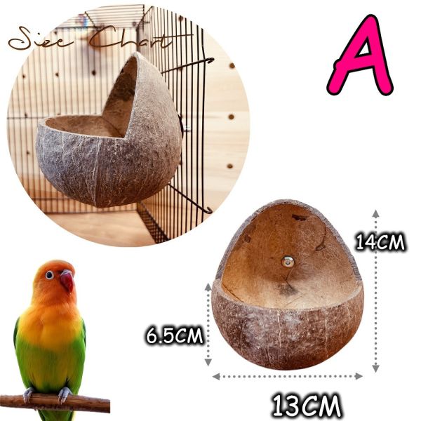 W403 台灣現貨/椰殼窩 椰殼鸚鵡木窩
小鸚鵡舒適窩巢
天然椰殼鸚鵡窩
耐用木質鸚鵡窩
易清洗鸚鵡木窩
鸚鵡舒適休憩空間
環保椰殼鸚鵡窩
手工製作鸚鵡木窩
自然材質鸚鵡窩
安全可靠的鸚鵡住所