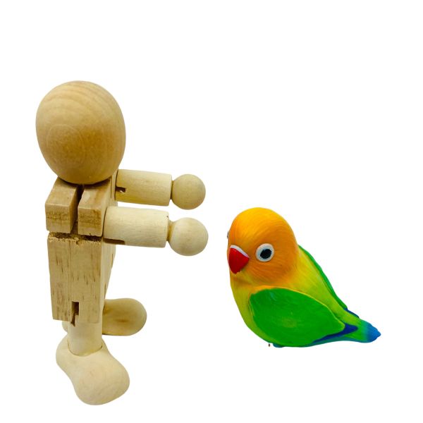 MY PET BIRD 人形咬物 / 鸚鵡玩具 多功能竹製鸚鵡玩具
可拆可組裝鸚鵡玩具
益智解壓鸚鵡玩具
趣味性鸚鵡玩具
魯班鎖鸚鵡玩具
光滑打磨鸚鵡玩具
實用竹製鳥玩具
鸚鵡智力訓練玩具
鸚鵡啃咬天性玩具
多種造型鸚鵡玩具