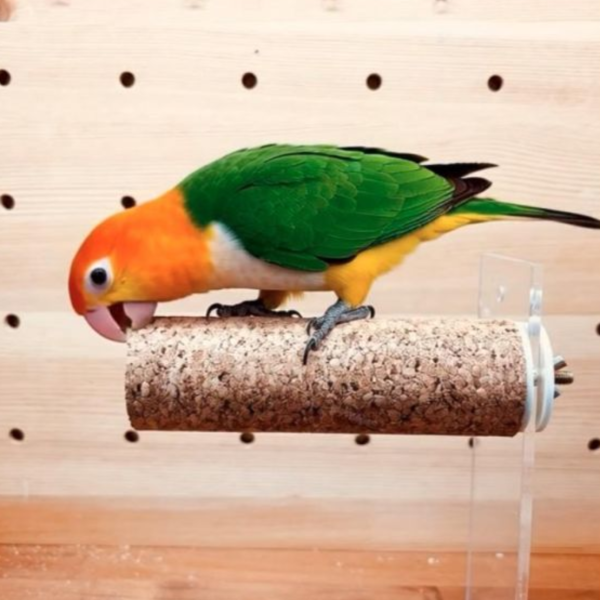 W877 啃咬橡木軟木  給鳥寶雲端般的站立體驗 防咬毛 玩具

鸚鵡解悶 玩具

防啄羽 玩具

鸚鵡磨爪 棒/玩具

鳥寶打發時間 玩具

鸚鵡自嗨 玩具

鳥籠 裝飾 玩具

鸚鵡 智力 開發 玩具