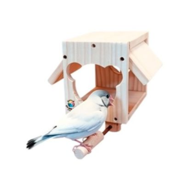 W474 小熊造型 / 鸚鵡小木屋 鳥用木窩
鳥居住用品
鳥類寄宿舍
天然木質鳥窩
鳥類棲息場所
無毒環保鳥窩
適合鳥類棲息的木製窩
室內外鳥類居住用品
手工製作鳥窩
鳥類庇護所