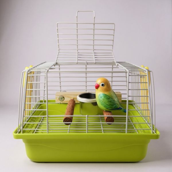 Z097寵物鳥大開口外出帶籠｜便攜外出籠 綠繡眼外出籠
綠繡眼專用站棍
鸚鵡雙用飲水器
迷你鳥外出籠
小型鳥攜帶籠適合綠繡眼的小型外出籠
結合飲水與站棍的鳥籠配件
綠繡眼外出專用站棍推薦
外出鳥籠附飲食功能
攜帶方便的迷你鳥籠推薦鸚鵡 外出籠

鳥 外出籠

便攜 鳥籠

寵物鳥 提籠

鳥 運輸籠

中小型 鸚鵡 外出籠