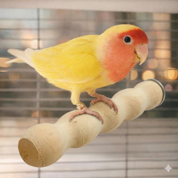 W853 中型鸚鵡曲線站棍 寵物文創,鳥玩具,鸚鵡玩具,文鳥,玄鳳,和尚,虎皮,綠繡眼,凱克,寵物用品,寵物玩具,咬物