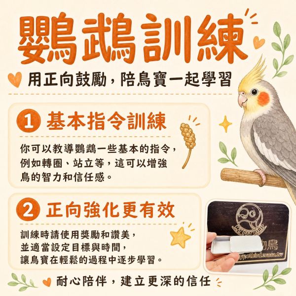 Z050 鳥用訓鳥餵食盒 手養訓練點心盒 隨身獎勵盒 訓鳥餵食盒, 訓鳥罐, 鳥用點心盒, 手養訓練道具, 鳥類正向強化, 鸚鵡訓練用品, 隨身鳥食盒, 寵物鳥攜帶盒