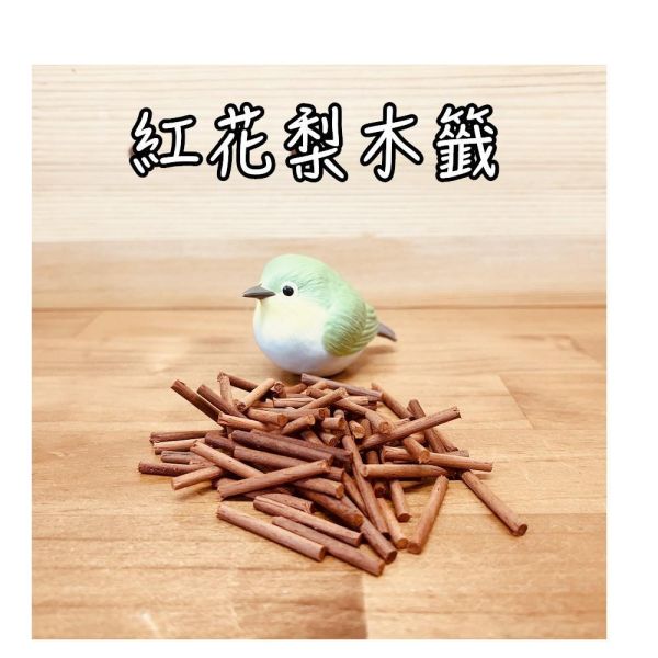 w030 鳥寶幸運籤筒｜天然木製小型鳥互動玩具 綠繡眼玩具、迷你插拔玩具、天然木材玩具、智力啟發玩具、小型鳥類玩具、松木玩具、櫸木玩具、紅花梨木玩具、鳥類益智玩具、寵物鳥娛樂