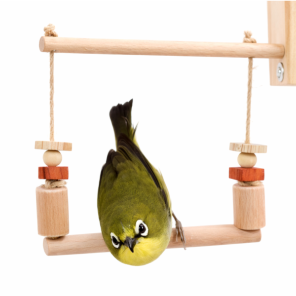 MY PET BIRD  小綠迷你鞦韆 綠繡眼迷你鞦韆
迷你鞦韆
量身訂作鞦韆
1.5mm超細麻繩鞦韆
8mm櫸木站棍鞦韆
鳥舍鞦韆
家居鳥鞦韆
舒適安全鞦韆
鳥玩具
自然裝飾品