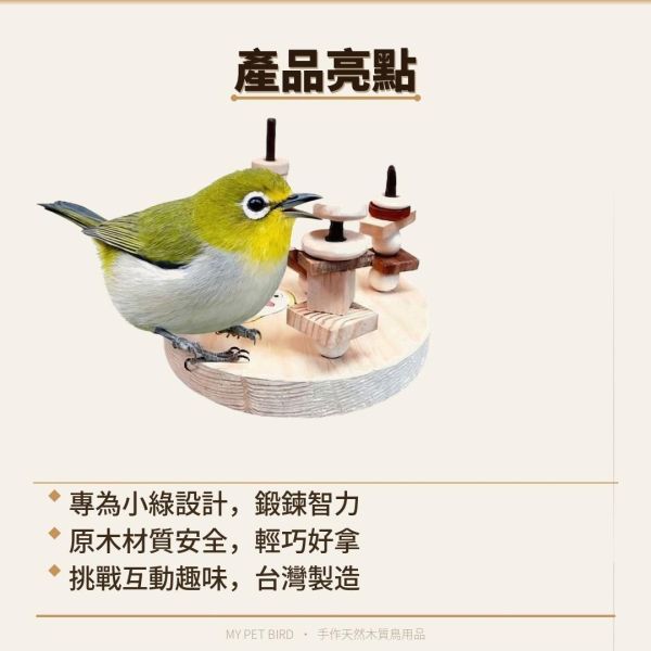 W767D 彩繪版綠繡眼玩具｜套圈圈 鳥用套圈圈
玩具套圈圈
鳥類智力訓練
協調能力鍛鍊
寵物鳥玩具
綠繡眼套圈圈
綠繡眼玩具
鳥類互動玩具
環保鳥玩具
鳥類運動玩具