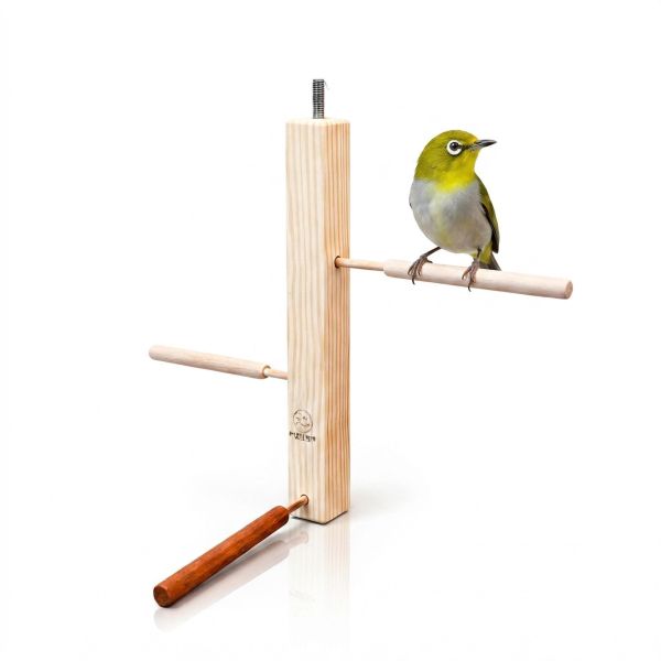 W834D 綠繡眼籠內跳架 綠繡眼站台 bird perch stand
綠繡眼站架 Bird stand
綠繡眼站棍　Bird Perch
綠繡眼遊樂場 Bird Playground
綠繡眼鳥玩具 Parrot toys
綠繡眼鳥用品 bird products
綠繡眼攀爬繩 Climbing rope
綠繡眼梯子 ladder