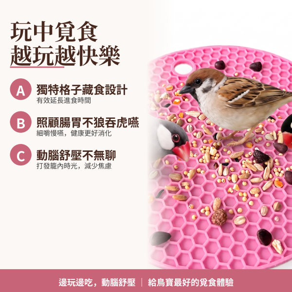 Z039 鳥寶藏食解悶玩具、防潑灑甩糧必備 鸚鵡覓食墊, 鸚鵡藏食玩具, 鳥玩具推薦, 鸚鵡解悶玩具, 鸚鵡防甩糧, 鸚鵡防潑灑, 慢食墊, 食品級矽膠慢食墊, MY PET BIRD