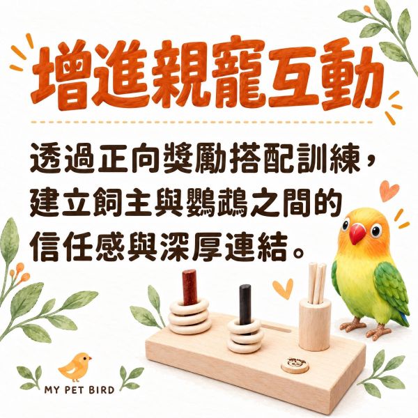 W712A 鸚鵡訓練玩具推薦｜智力開發套圈圈 鸚鵡訓練玩具, 鸚鵡套圈圈, 鸚鵡益智玩具, 鳥用訓練玩具, 小型鸚鵡玩具, 鸚鵡智力開發, MY PET BIRD, 台灣製鳥玩具