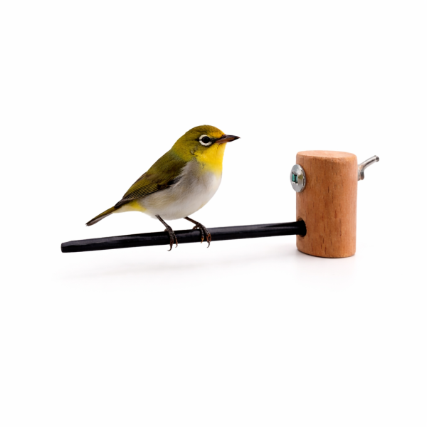 W835A  綠繡眼紫光檀木站棍 鳥類站立架
寵物站立訓練器材
鸚鵡活動訓練棒
可調節高度鳥類站立器材
天然木鳥類站立架
無毒寵物訓練玩具
多功能鸚鵡訓練用品
適合鸚鵡站立練習的玩具