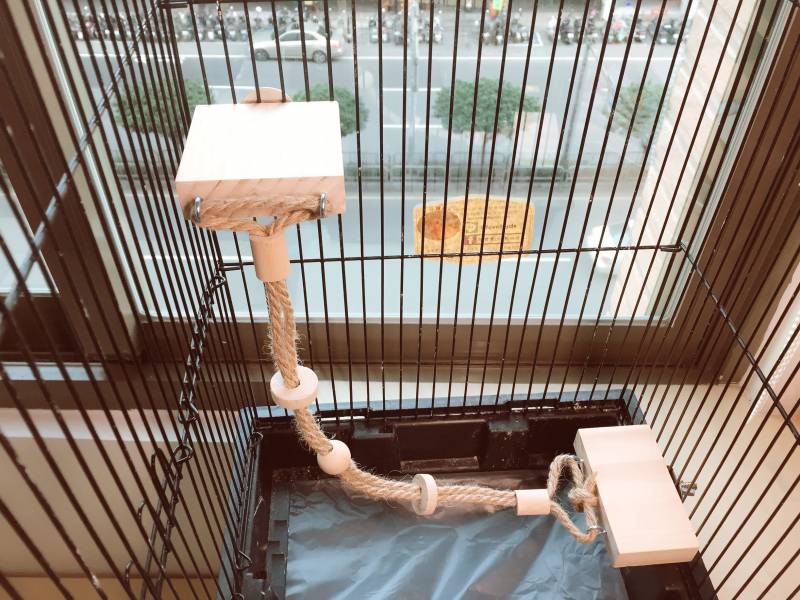 W721 空中纜繩 鸚鵡站台
鸚鵡活動台
鳥類休息台
寵物休息訓練架
可調節高度鳥類休息台
天然木鳥類站立架
無毒寵物訓練玩具
多功能鸚鵡訓練用品
適合鸚鵡休息和站立練習的玩具